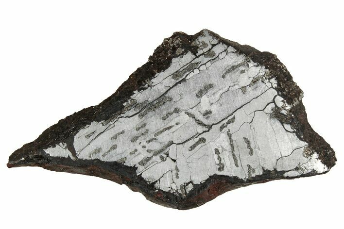 Etched Canyon Diablo Meteorite Slice ( g) - Arizona #356042